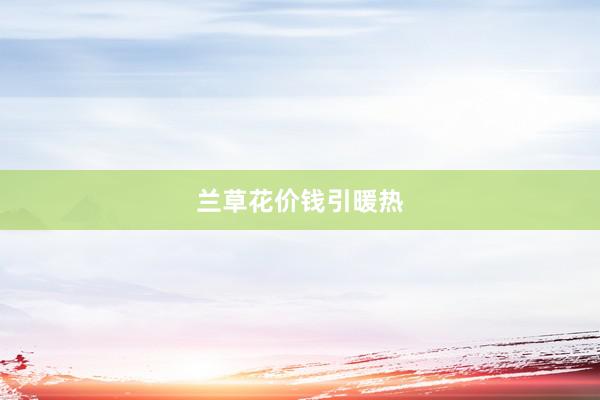 兰草花价钱引暖热